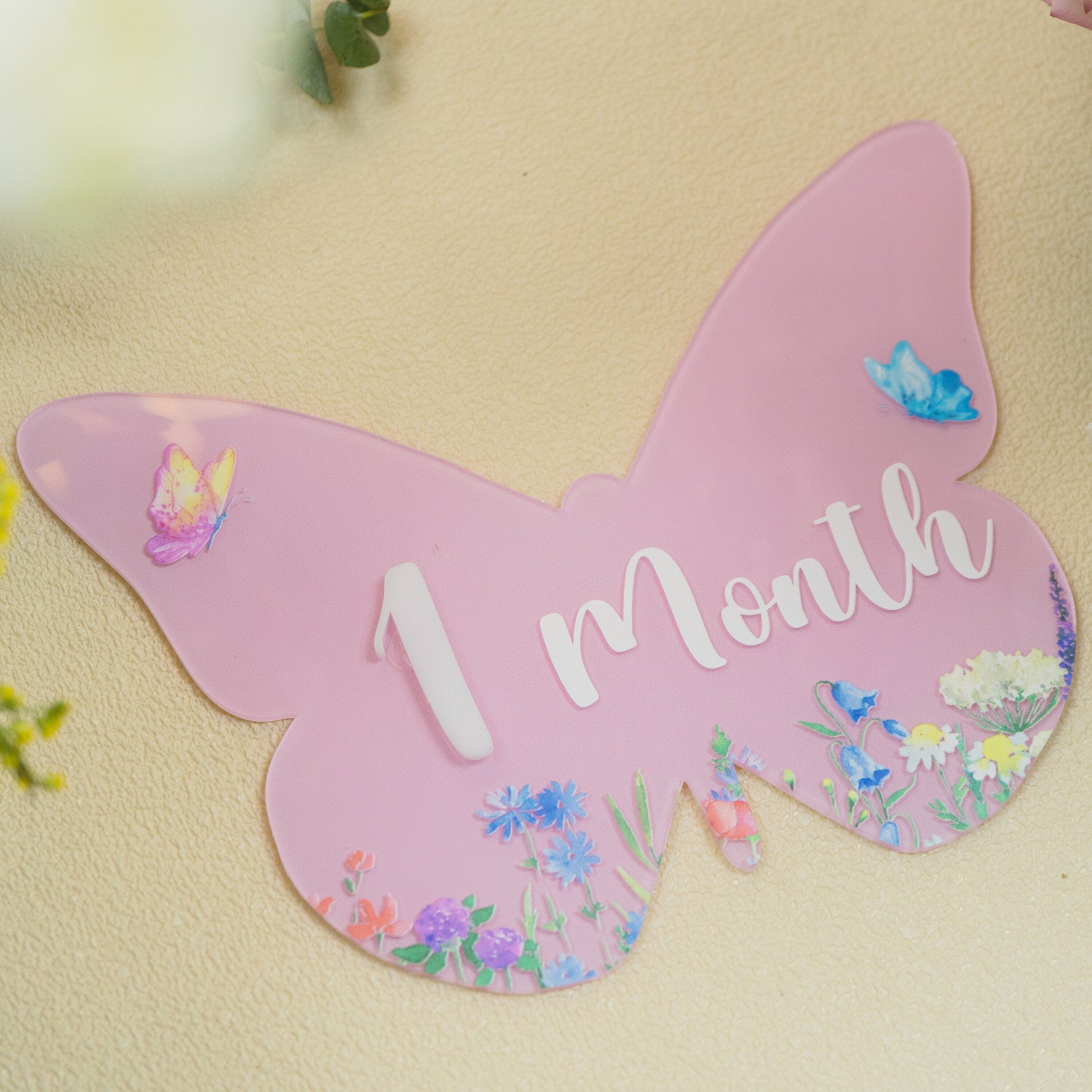 Acrylic Butterfly Baby Milestone Cards • Wildflower Monthly Photo Props • Baby Shower Gift for Newborn Girls, Keepsake Nursery Decor - product image 3