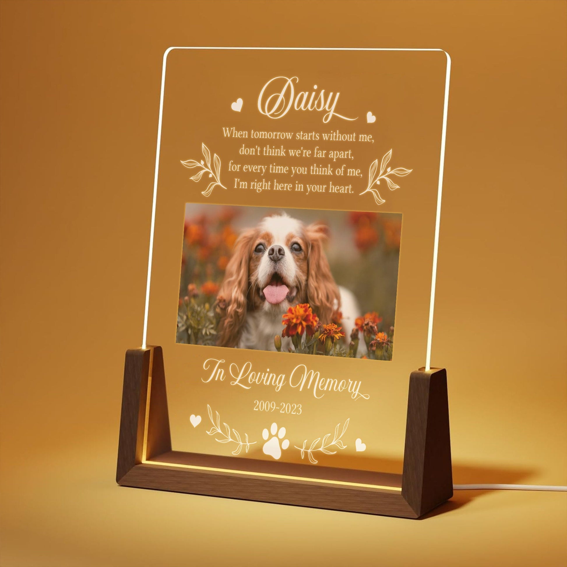 Custom Pet Plaque with Photo, Dog Memorial Gift, Pet Loss Sympathy Keepsake, In Loving Memory Plaque, Cat Bereavement Night Light - main product image