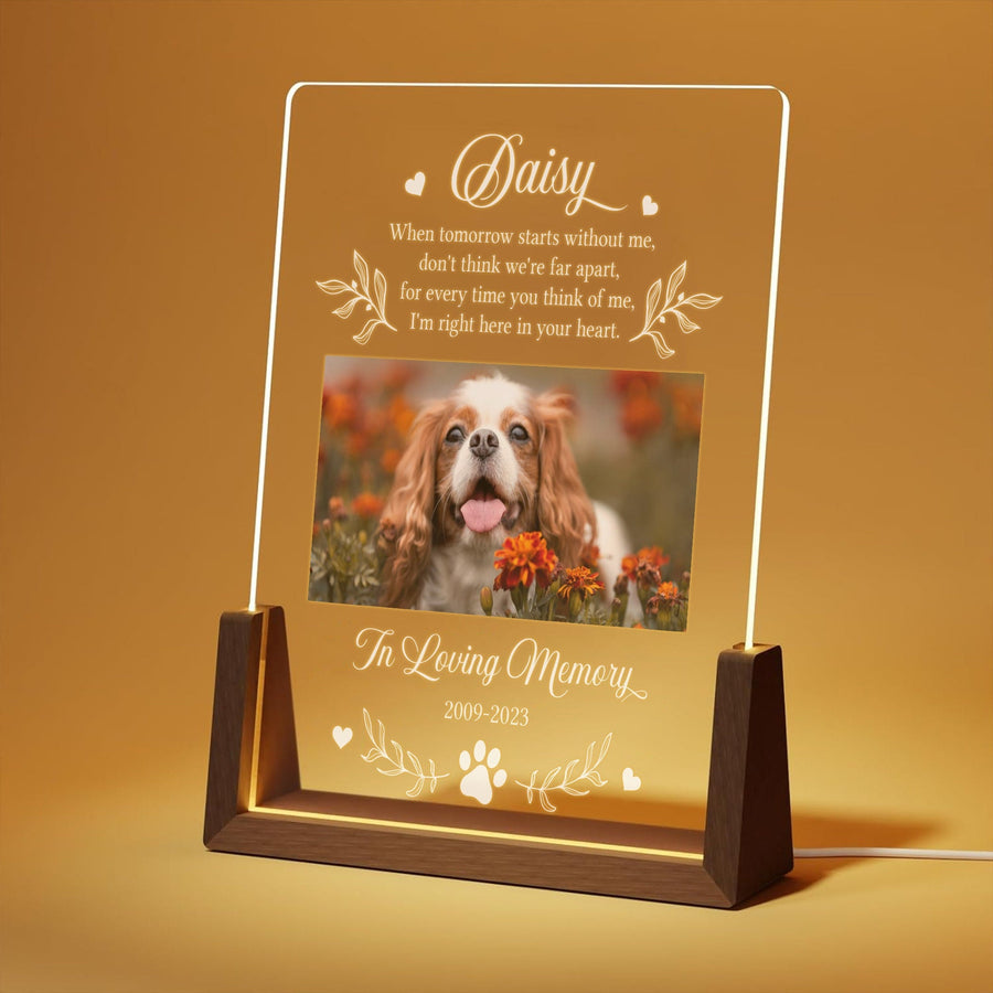 Custom Pet Plaque with Photo, Dog Memorial Gift, Pet Loss Sympathy Keepsake, In Loving Memory Plaque, Cat Bereavement Night Light - main product image