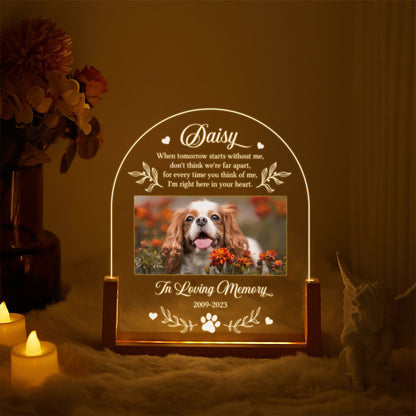 Custom Pet Plaque with Photo, Dog Memorial Gift, Pet Loss Sympathy Keepsake, In Loving Memory Plaque, Cat Bereavement Night Light - product image 2