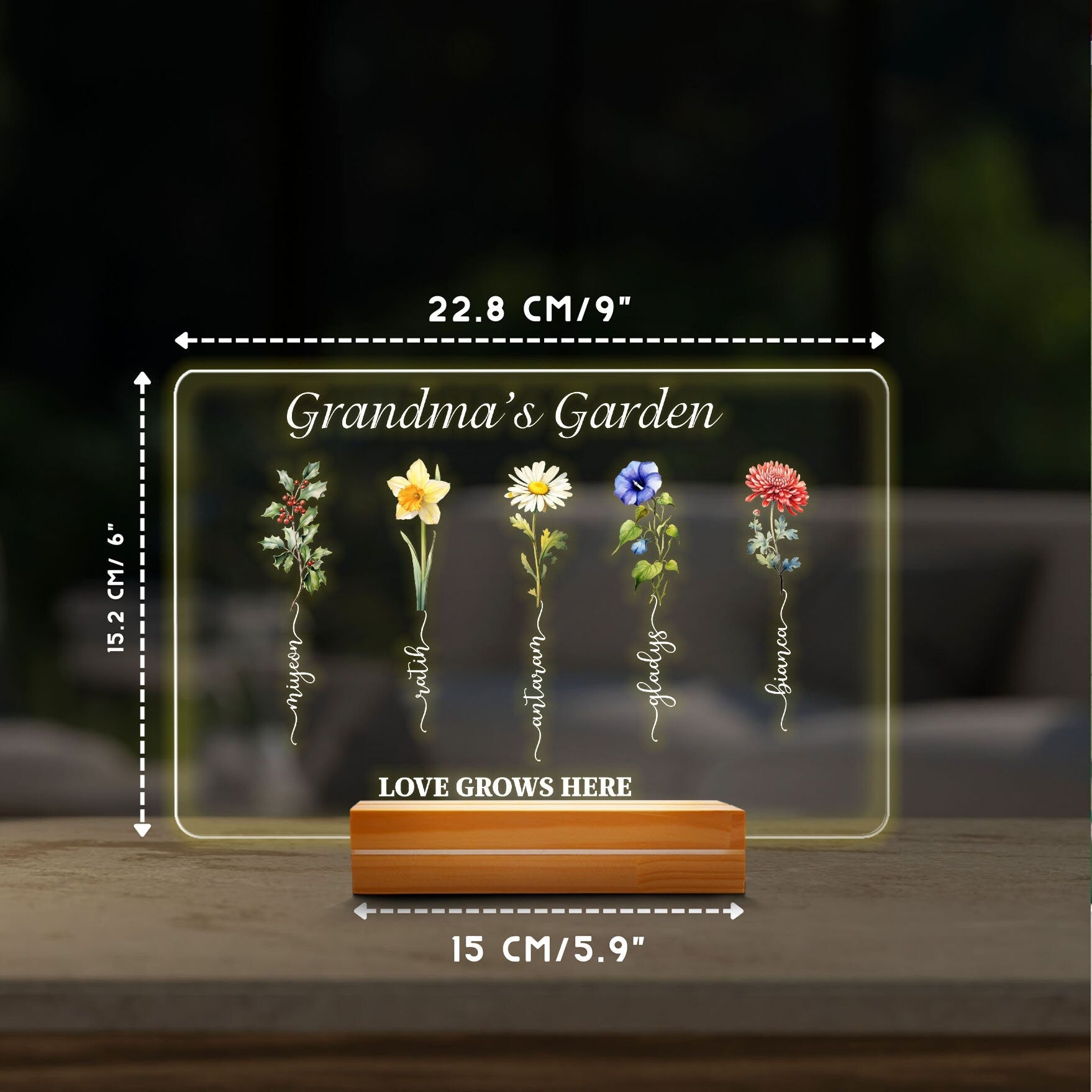 Grandmas Garden LED Light, Birth Flower Mothers Day Gift, Custom Grandkids Name Sign, Personalized Grandma Plaque, Floral Night Light - product image 5